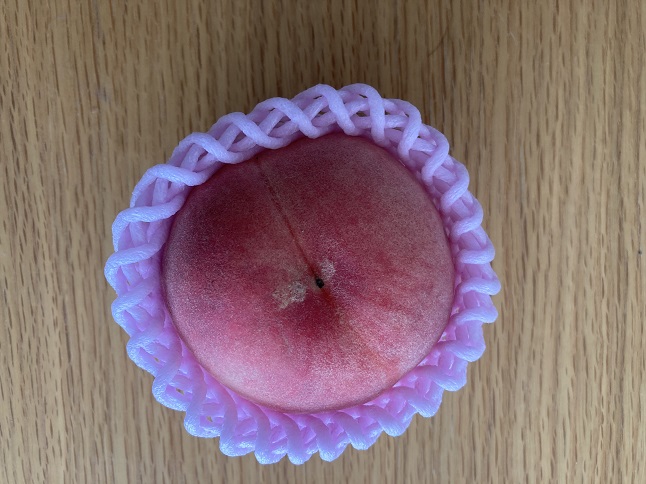 食べた桃の種から 桃を育てる2 発芽と冬越し 1970 Sブログ 食べた桃の種から 桃を育てる2 発芽と冬越し 1970 Sブログ